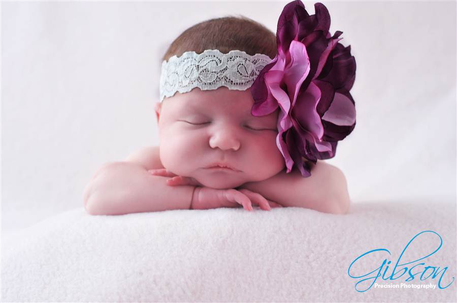 Alexis Gibson Newborn Photographer Burlington Ontario Gibson Photography 0913