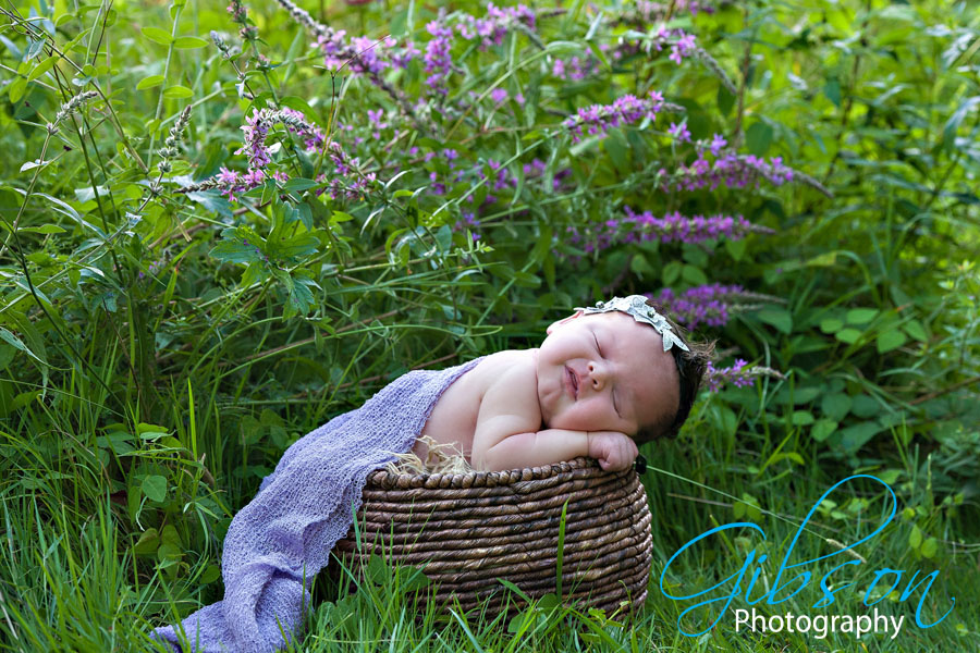 Outdoor Newborn photography Burlington Ontario
