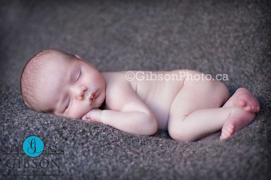 Newborn Photographer Milton Ontario 