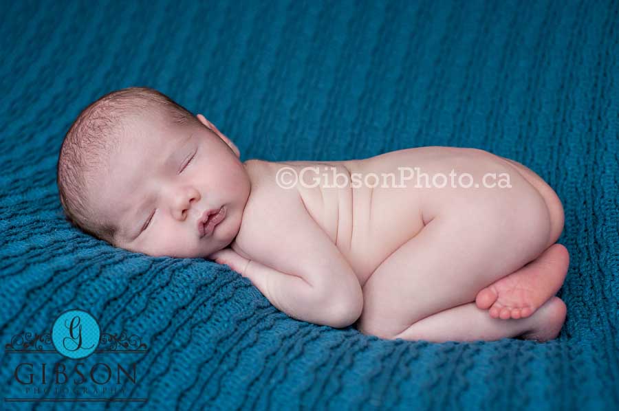 Newborn Photographer Milton Ontario 