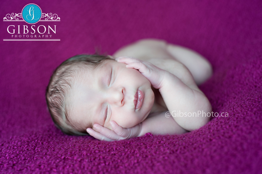 Newborn Photographer Burlington Ontario 