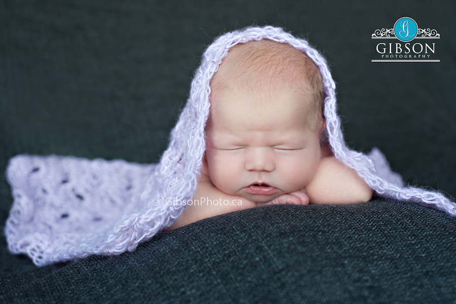 newborn photographer burlington ontario 