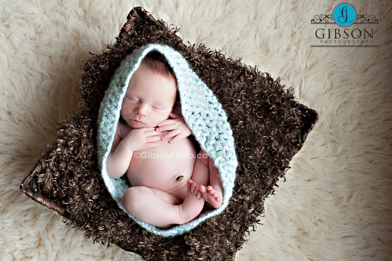 newborn photographer burlington ontario 