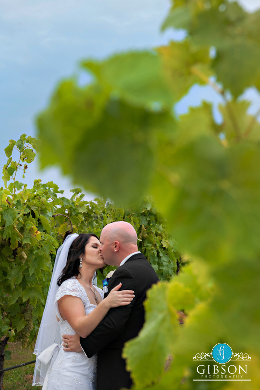 Hender_winery_Wedding_StCatherines_Ontario