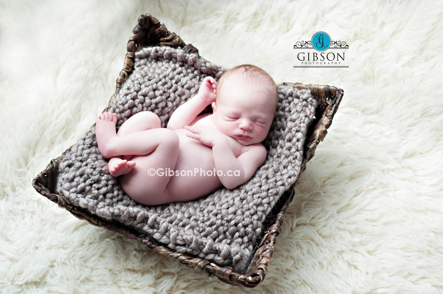 newborn_photographer_burlington_ontario