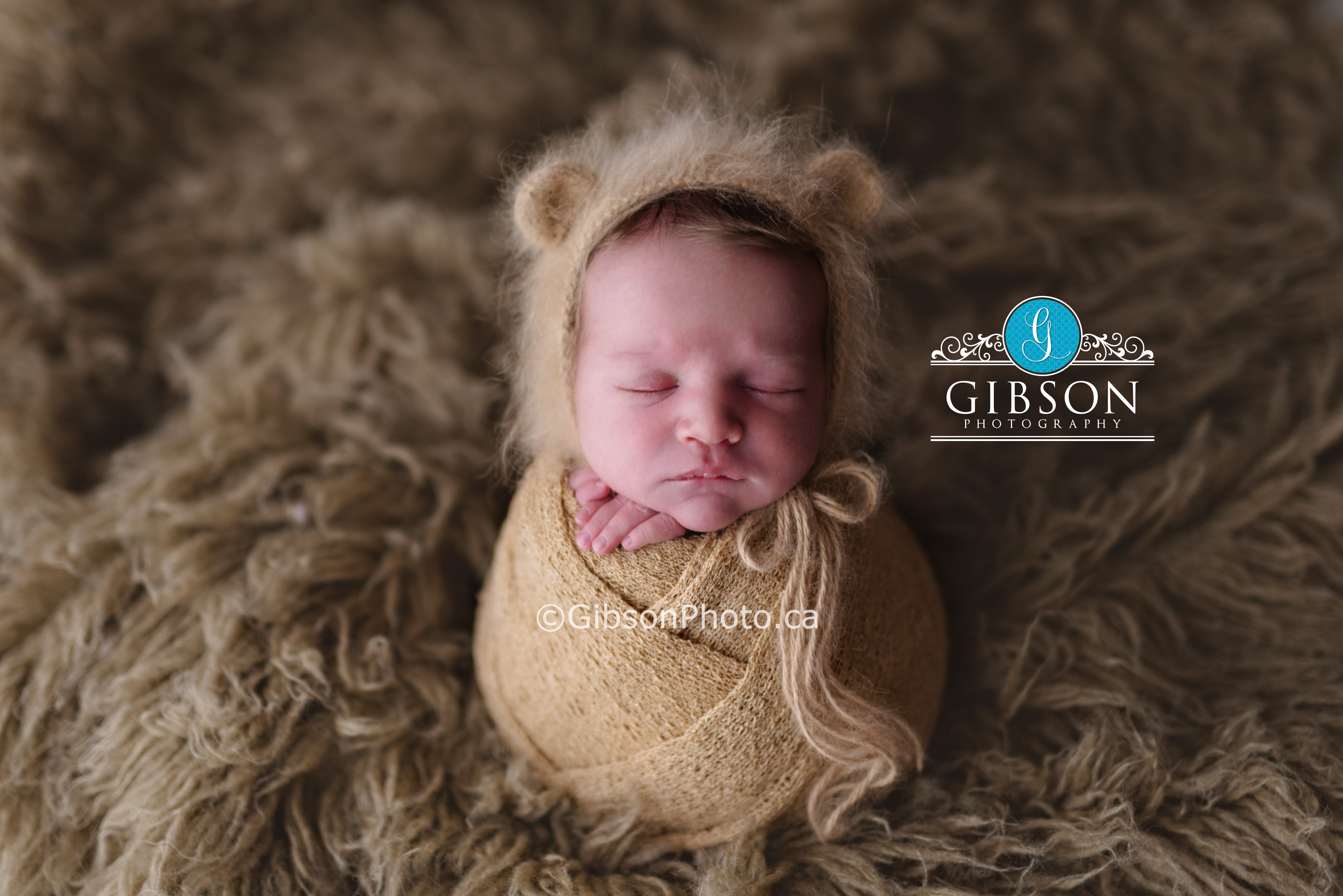 newborn photographer burlington on
