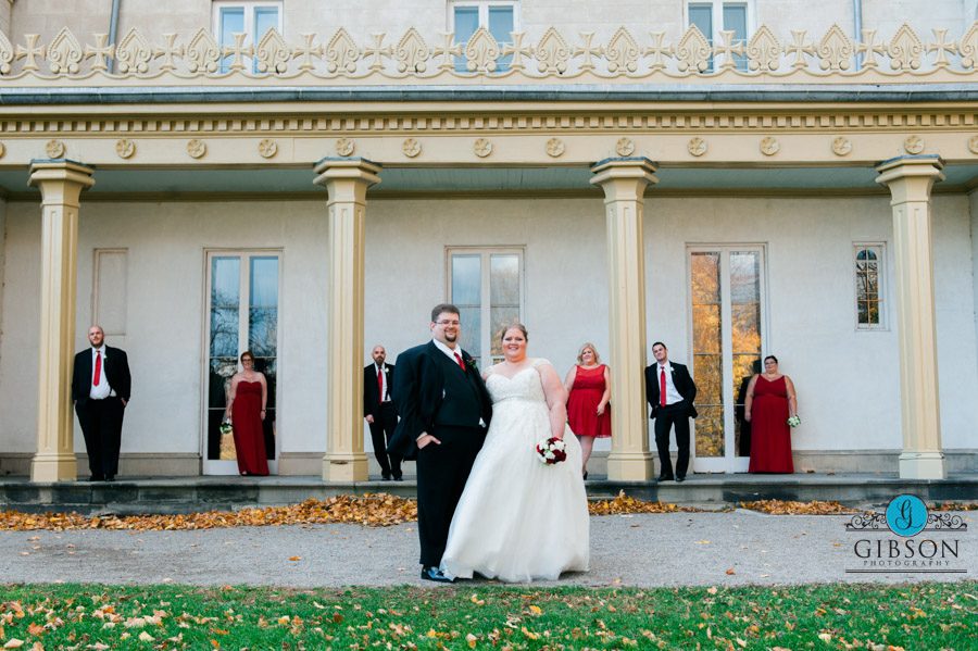 Wedding, Photography, Hamilton