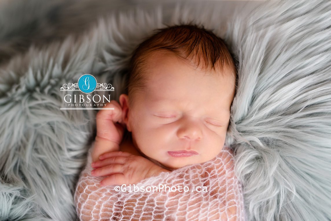 newborn photography burlington