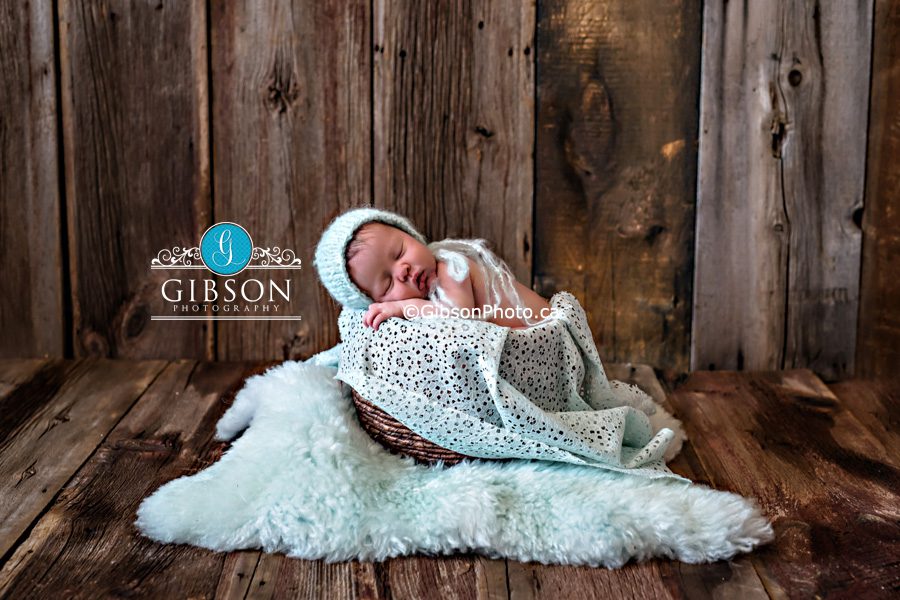newborn photographer burlington