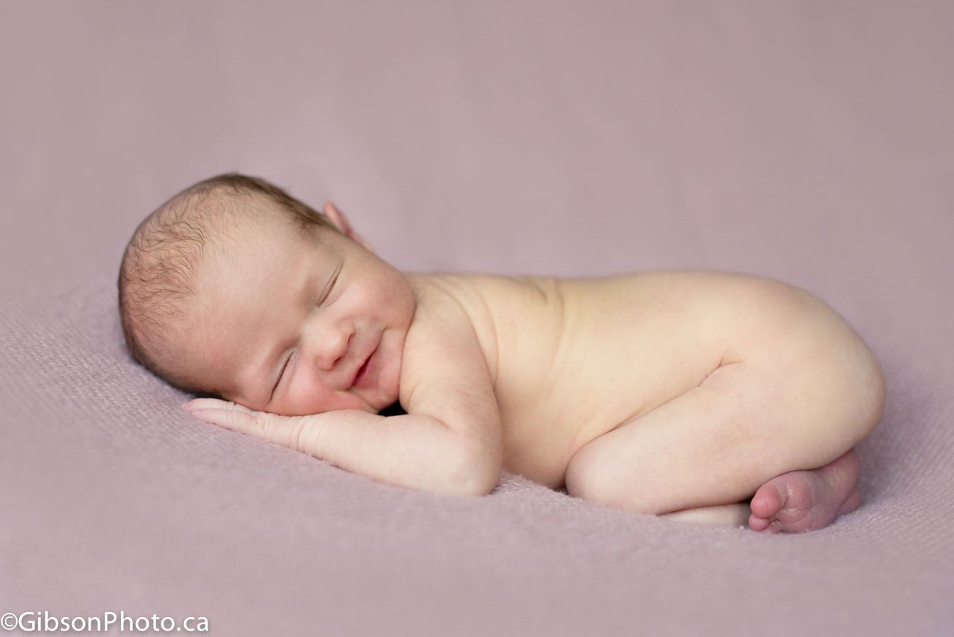 newborn, photography, burlington