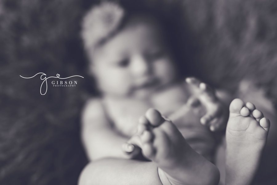 Baby Photographer Burlington