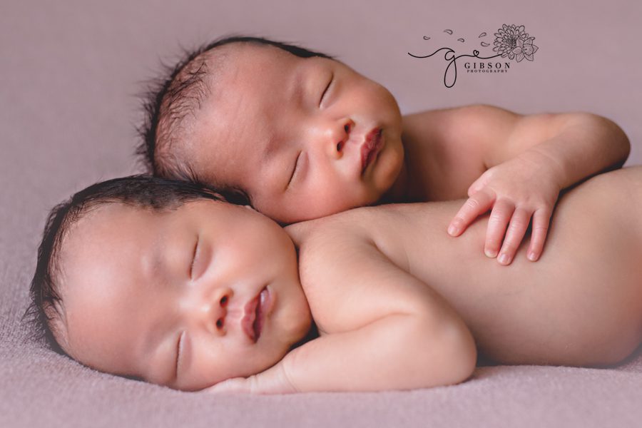 Twin Newborn Photographer