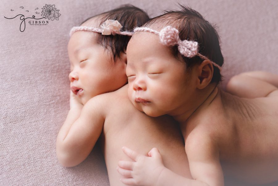 Twin Newborn Photographer