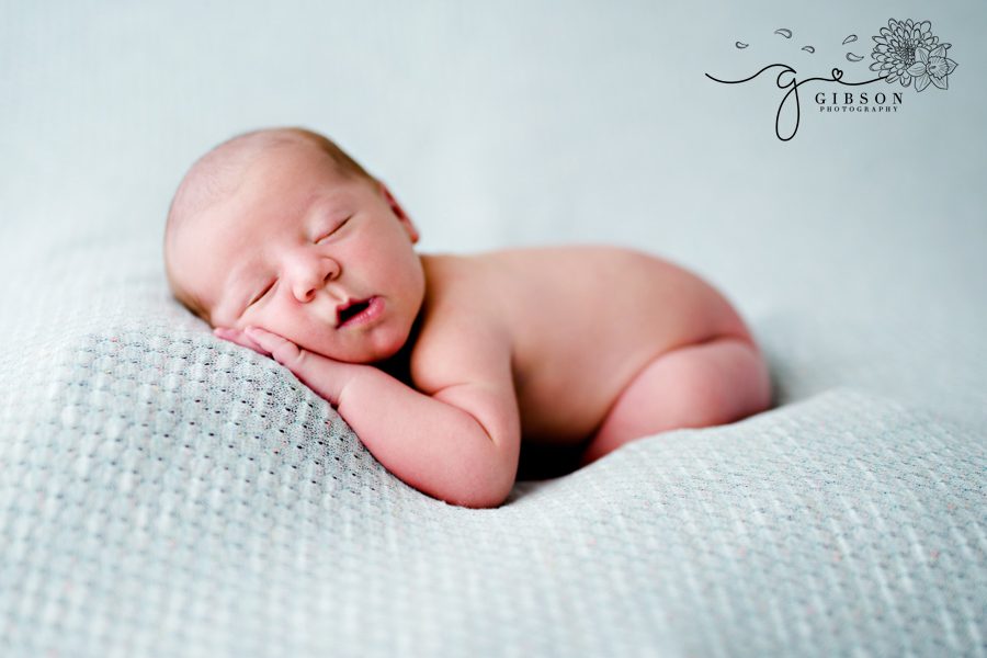 Newborn Photography Burlington