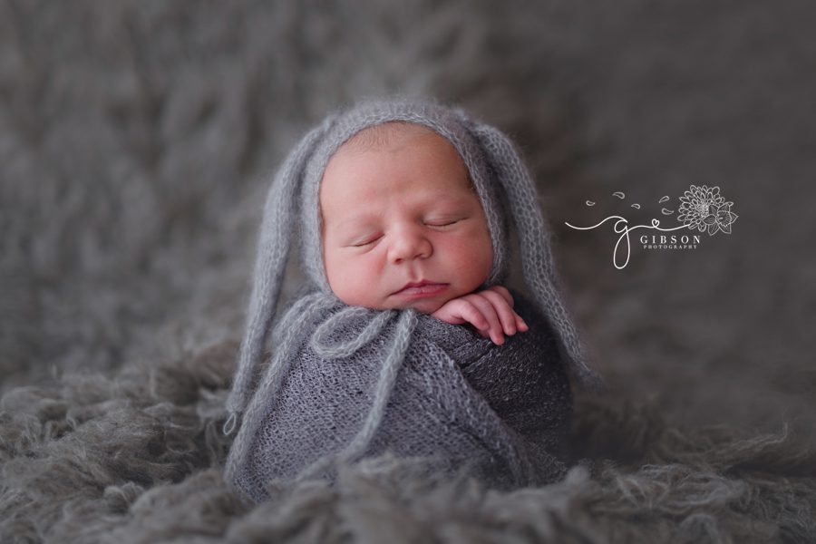 Newborn Photography Burlington