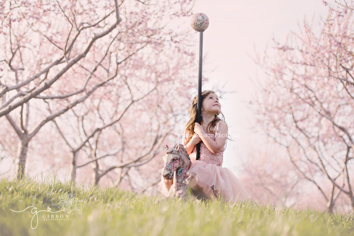 Cherry Blossom Photography