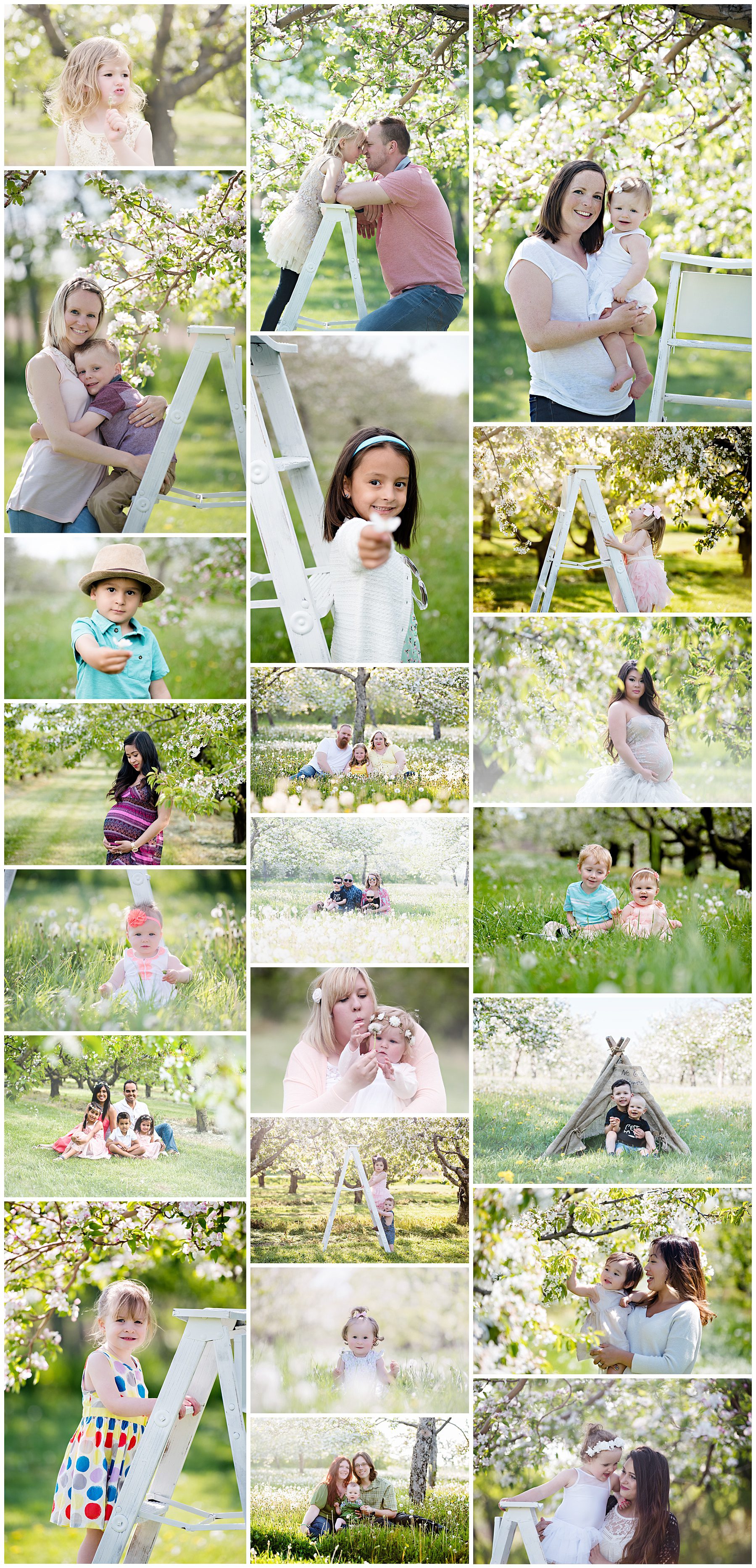 Cherry Blossom Family Photography