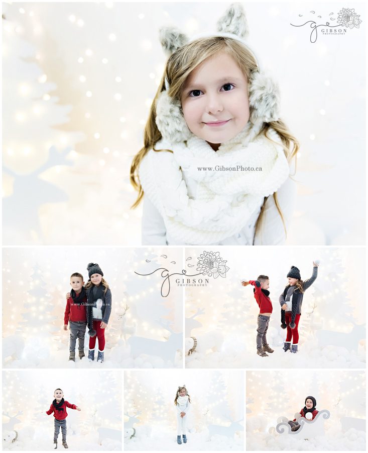 Christmas, Christmas Mini, Winter Wonderland