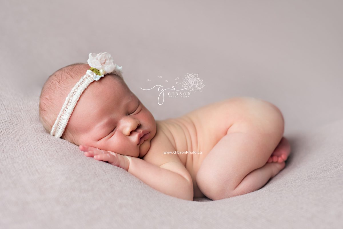 newborn photographer burlington ontario
