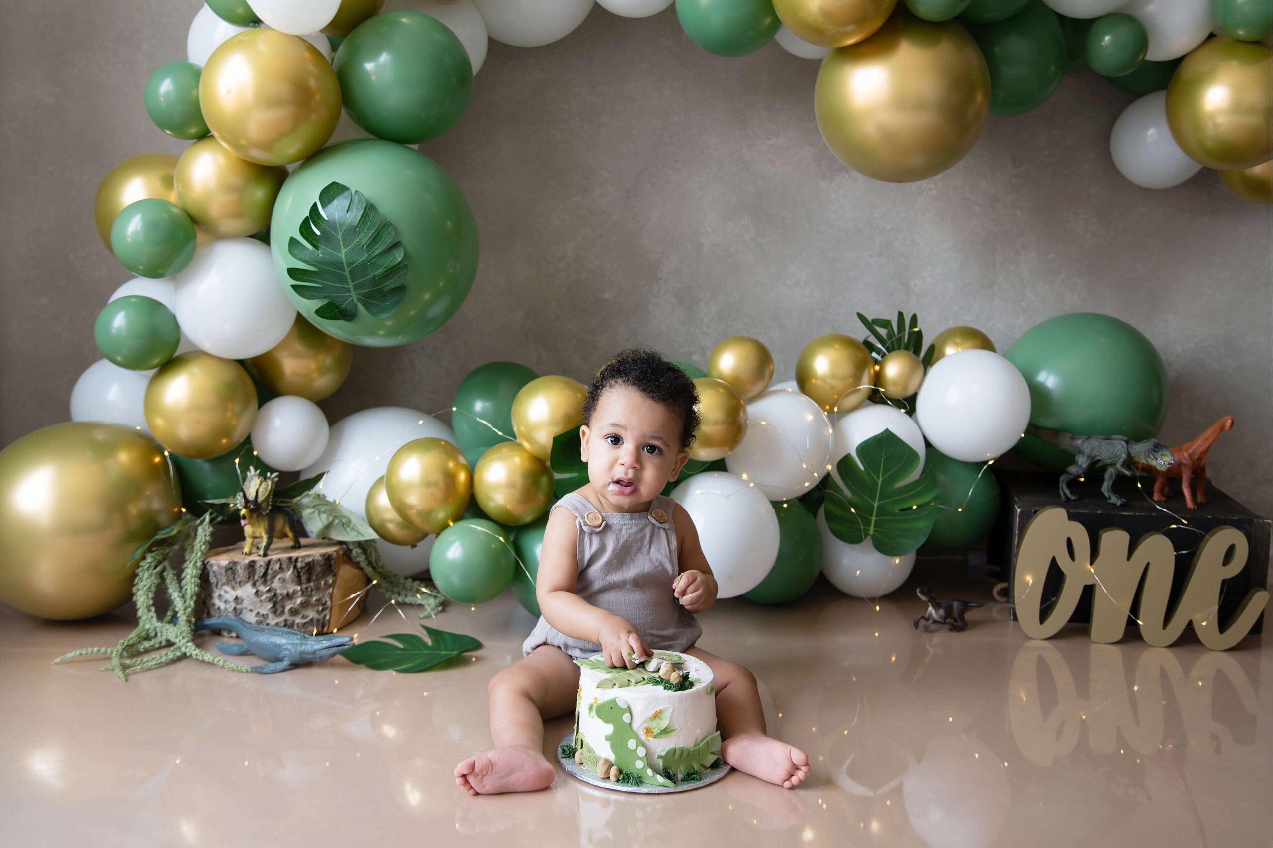 Dinosaur First Birthday Cake Smash Session with Gibson Photography