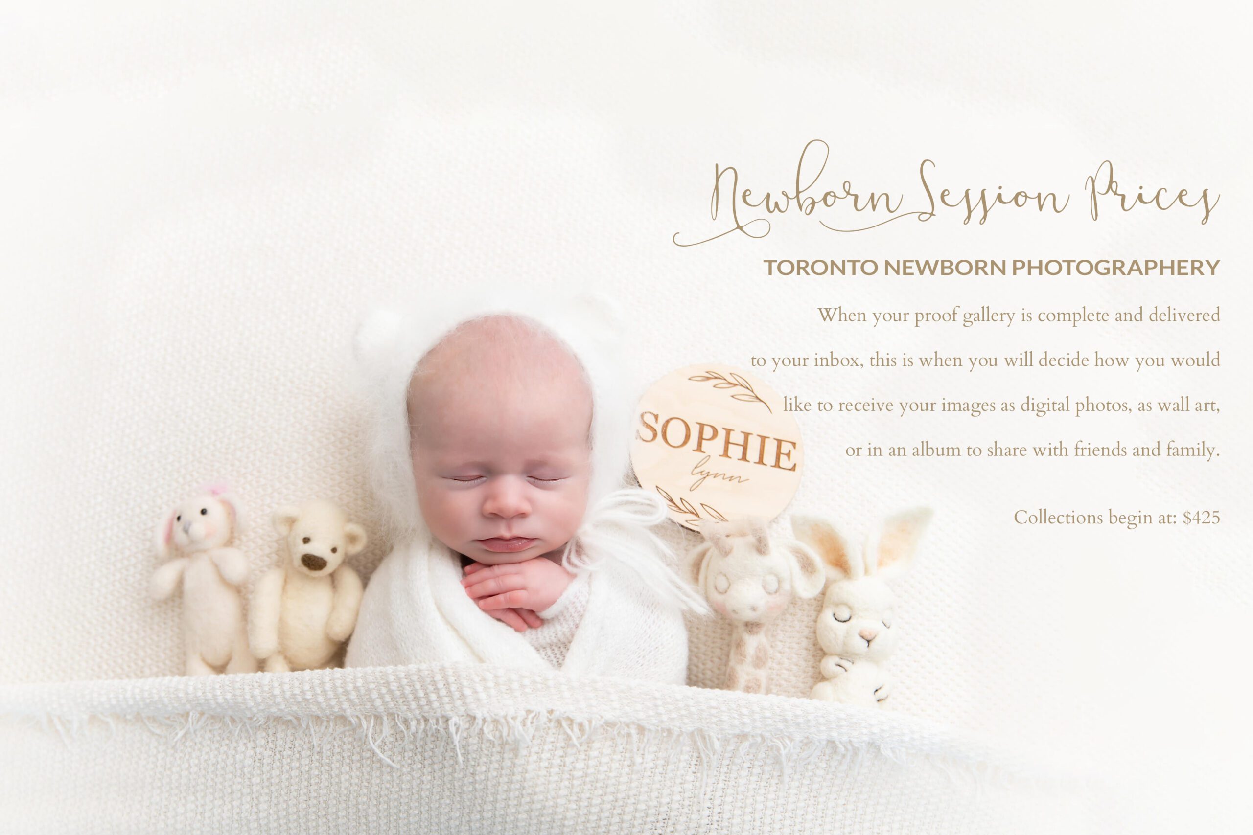 Toronto Newborn Photography Book Your Session Now