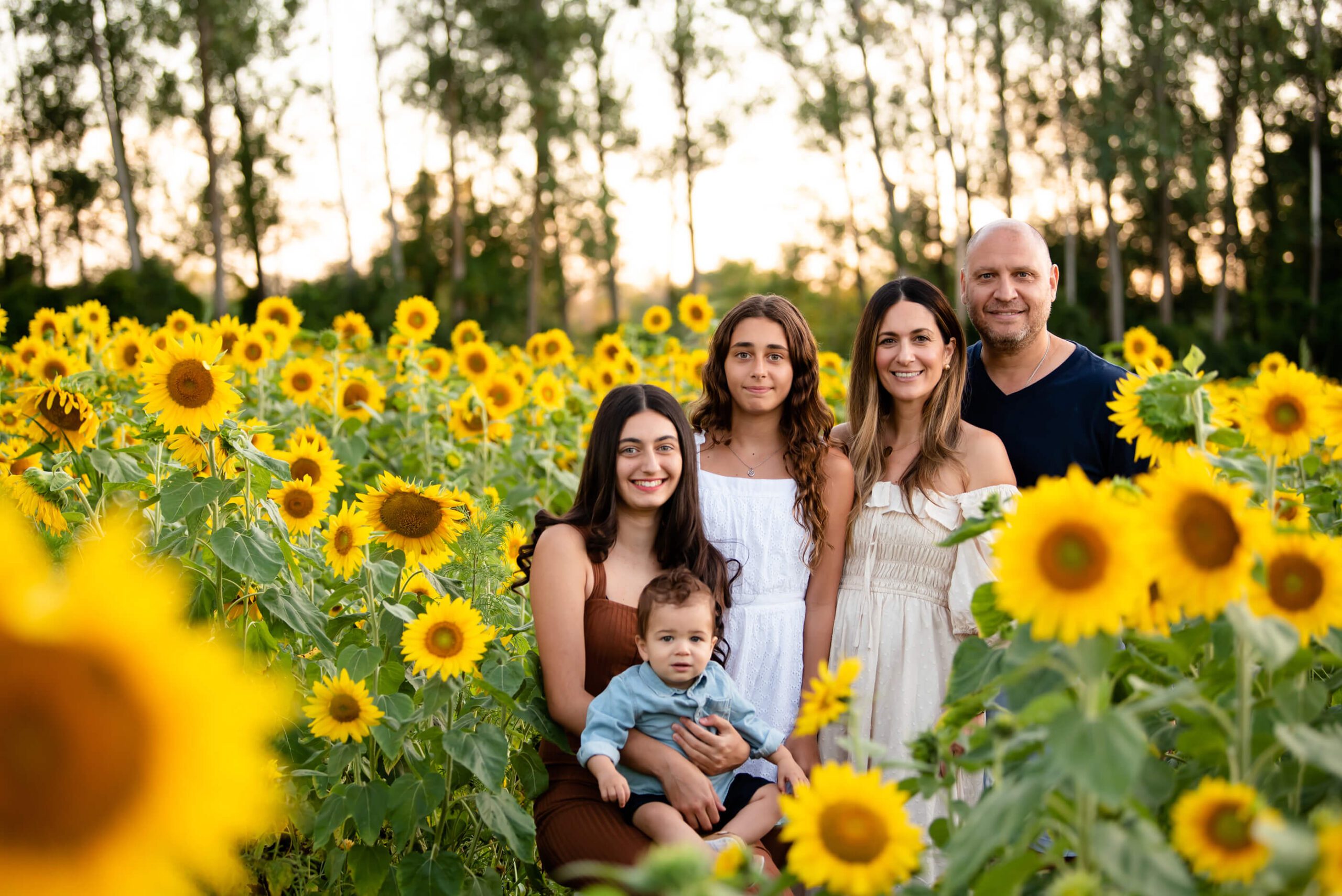 sunflower mini family photography session
