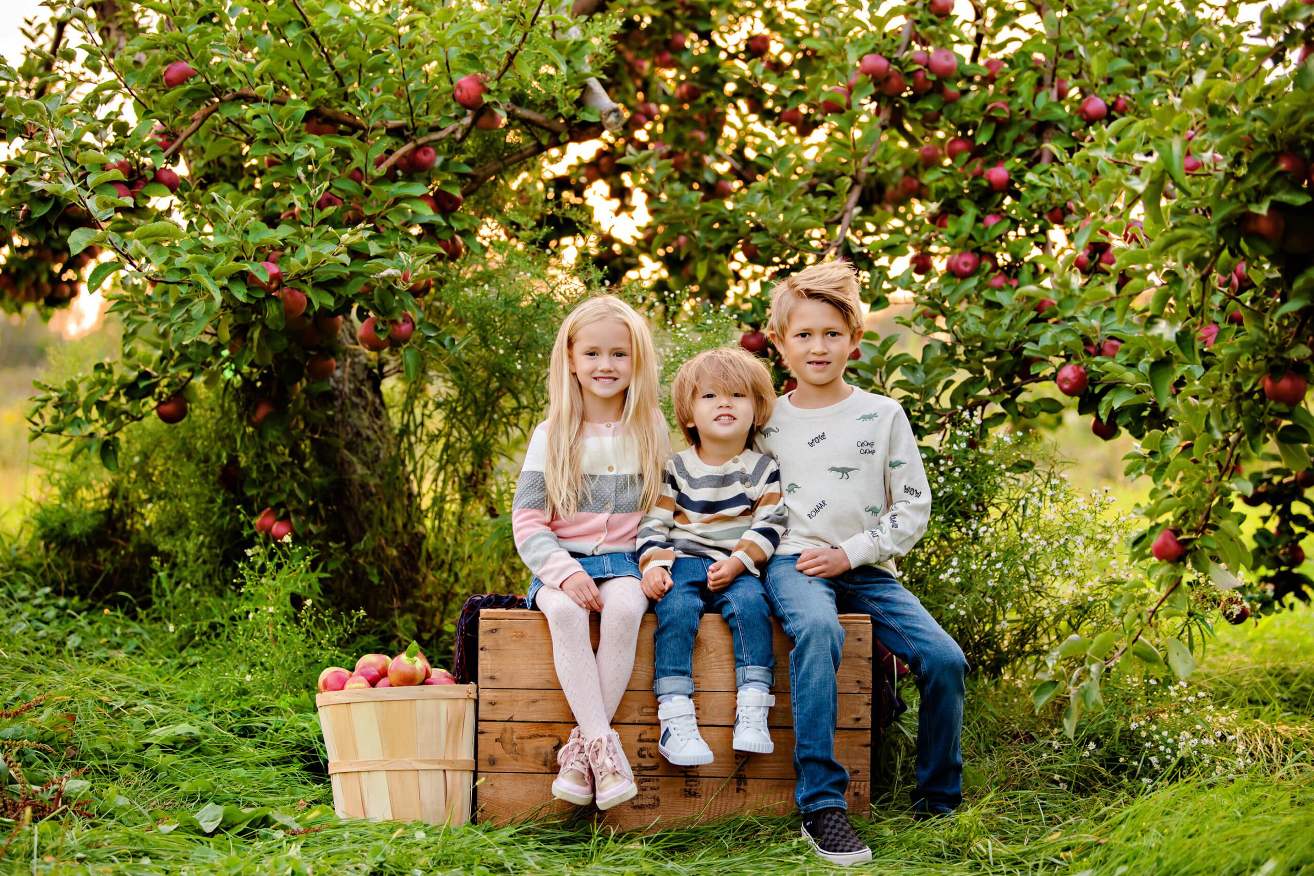 Milton Family photographer apple mini session