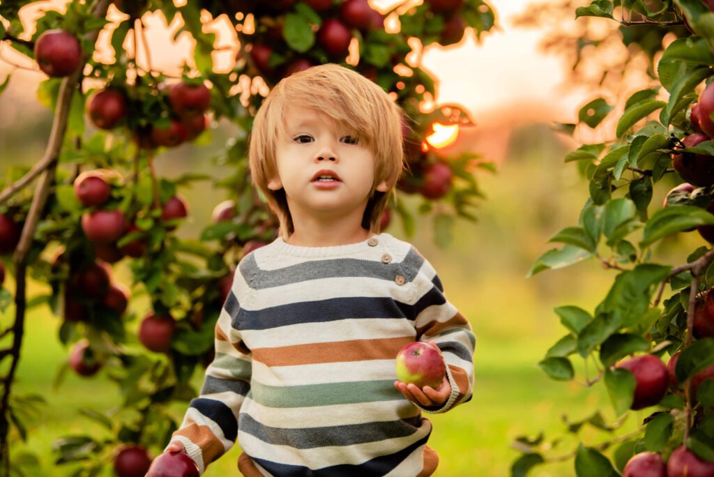 best Toronto & Burlington teacher gifts. Apple Orchard photo with little boy