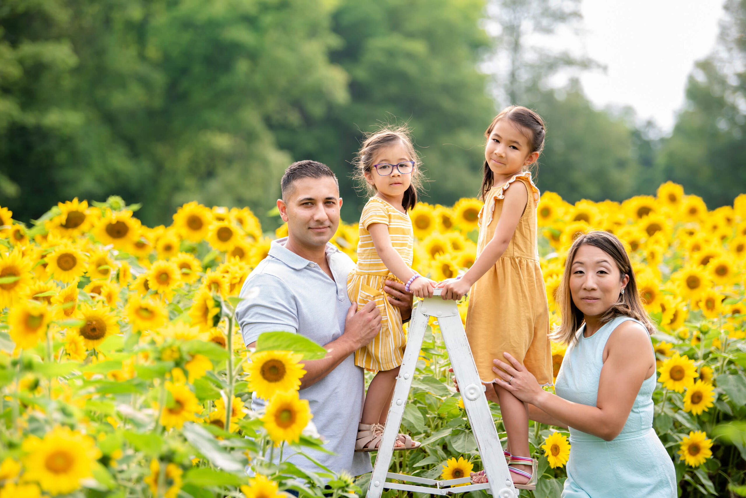 Toronto And Burlington Family Photographers Sunset Sunflower Session