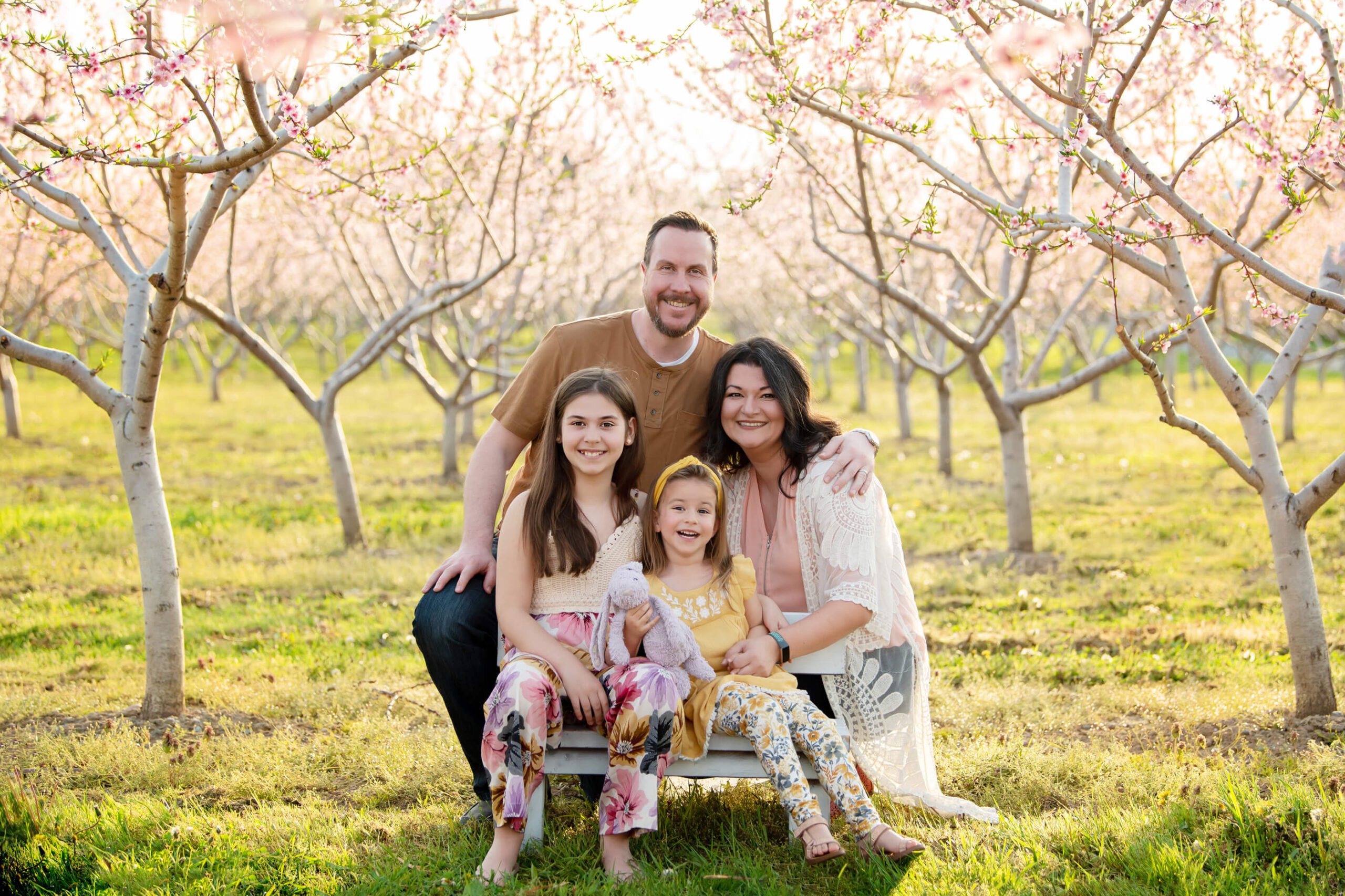 Toronto And Burlington Family Photographers Sunset Cherry Blossom Session