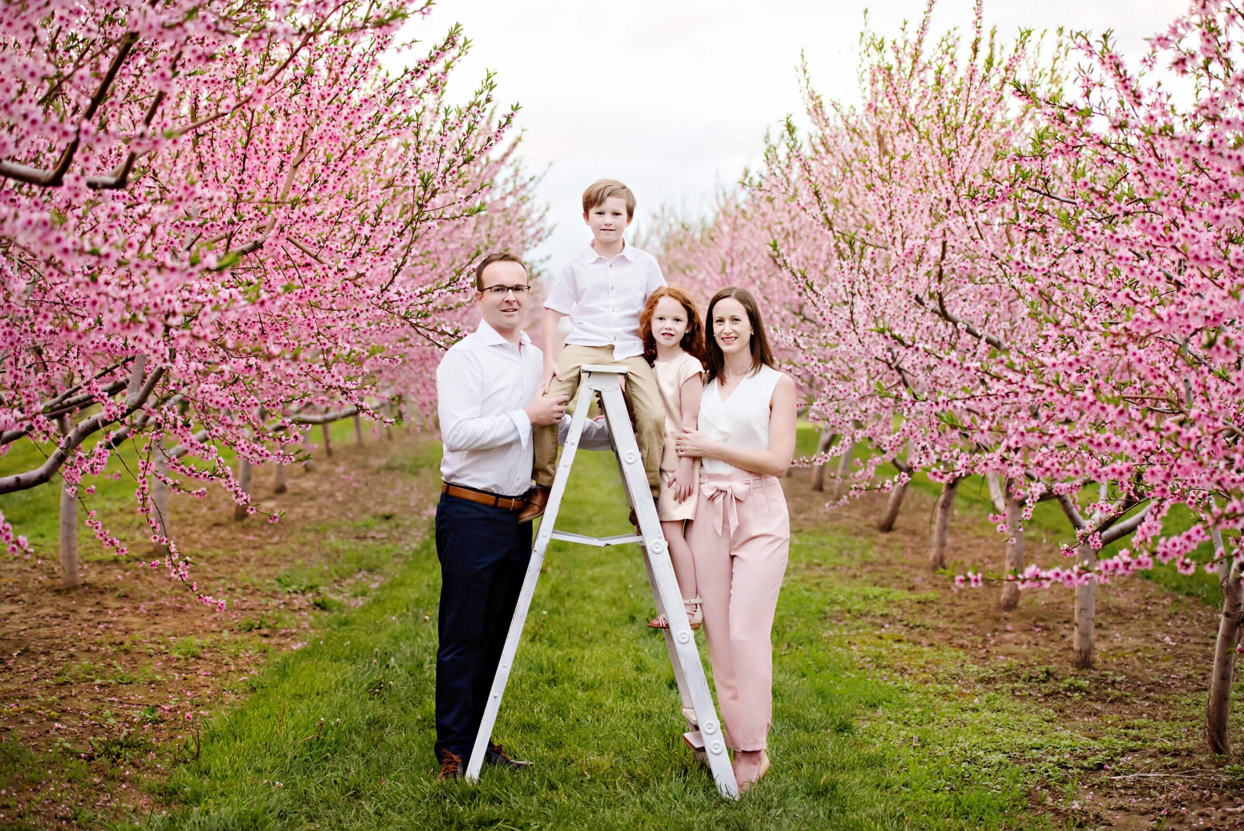 Cherry Blossom Family photography session