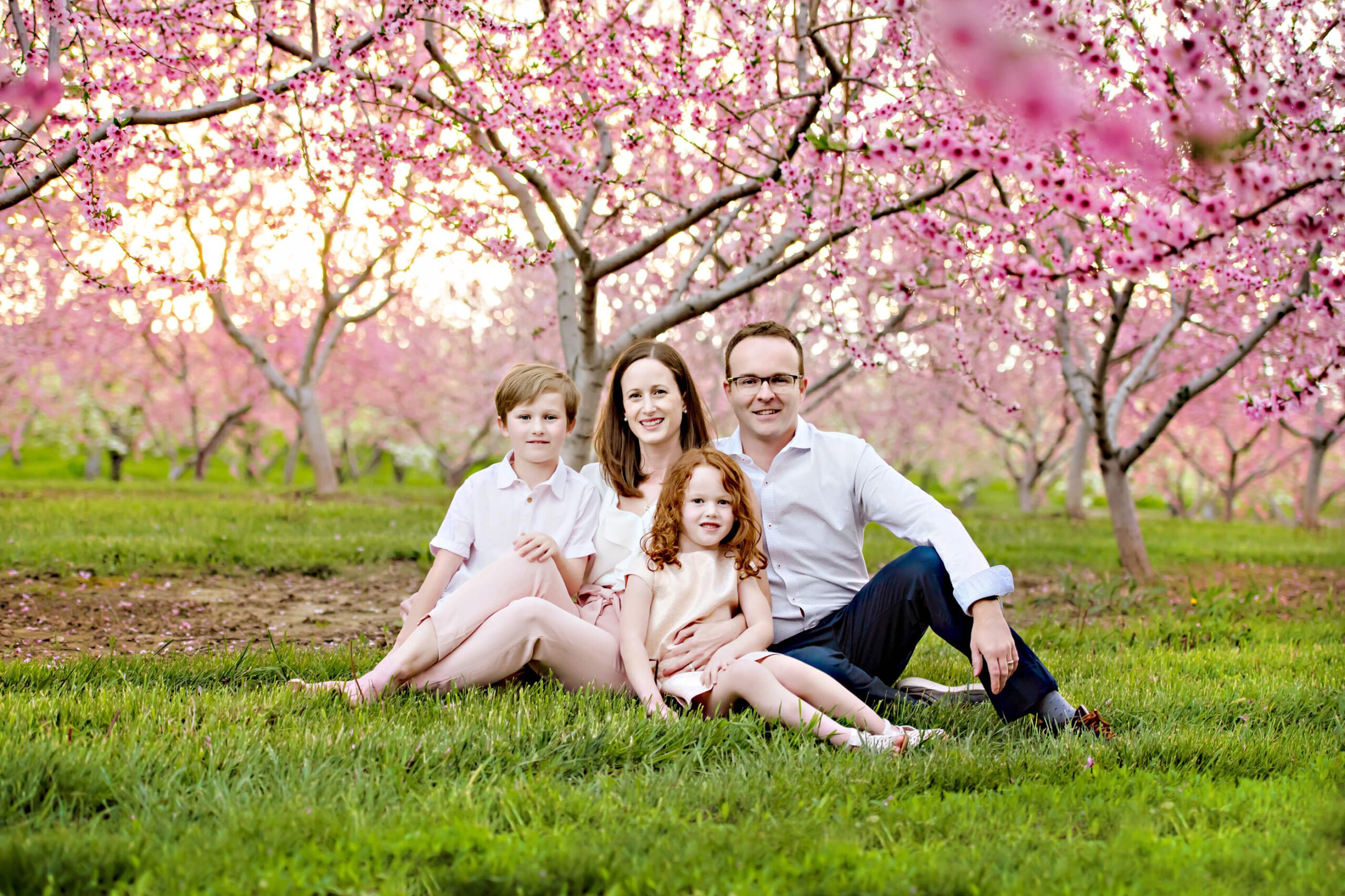 family photo backlit at the cherry blossom farm