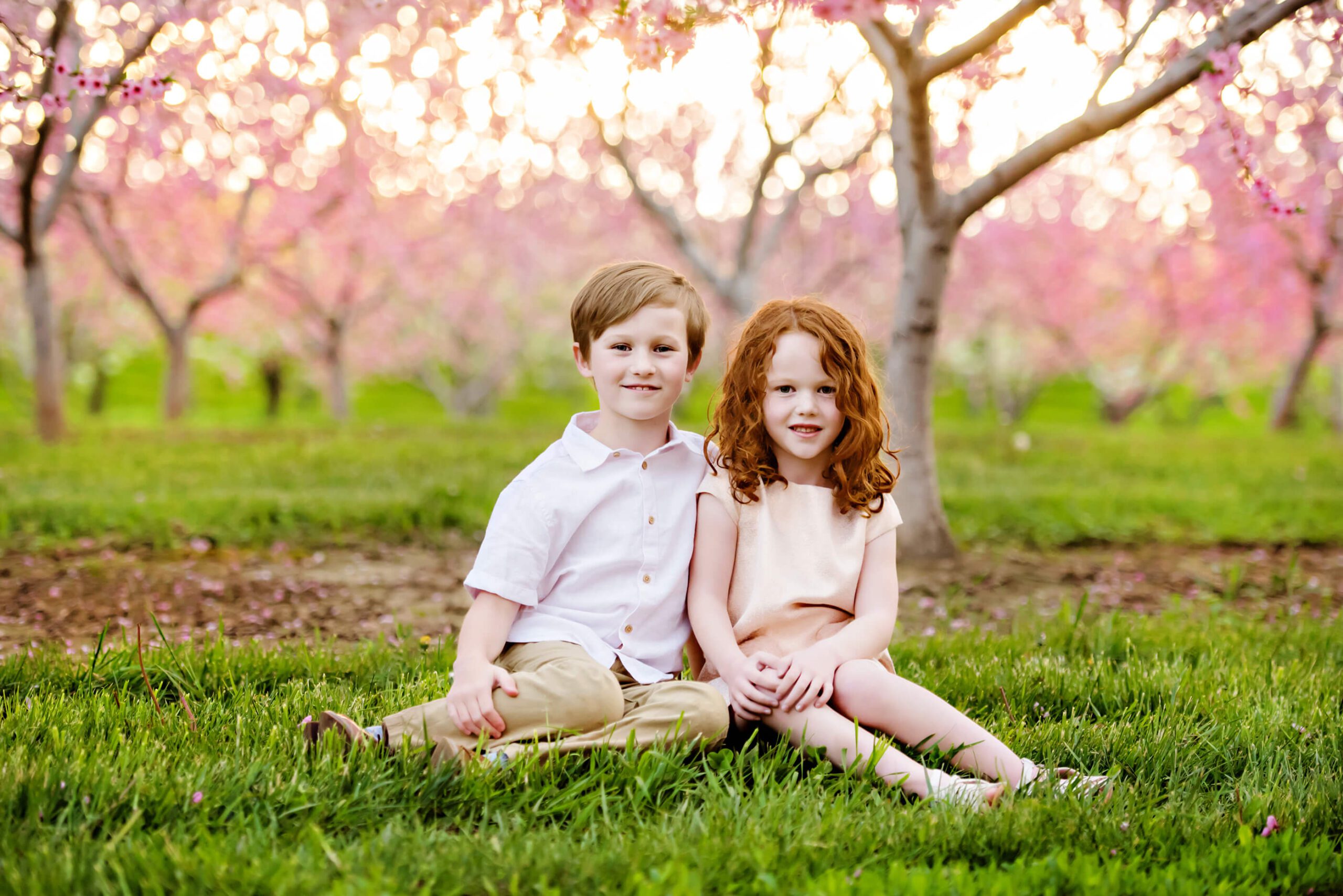 sibling photos at their cherry blossom mini session
