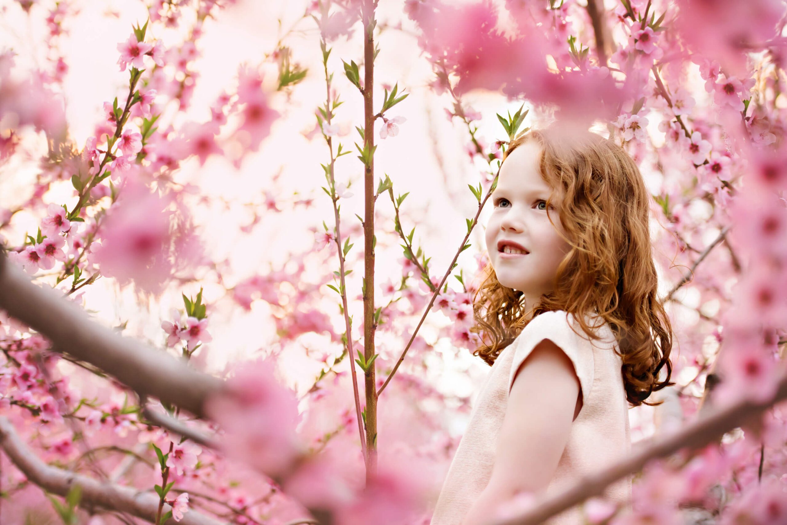 up close photo of little girl in the cherry treees