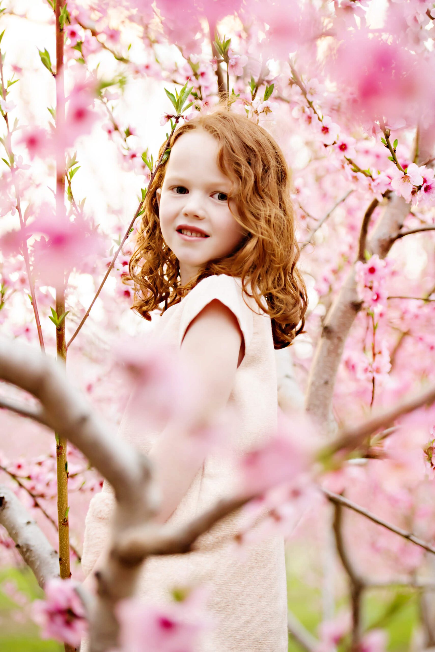 red head girl in the pink cherry blossom trees