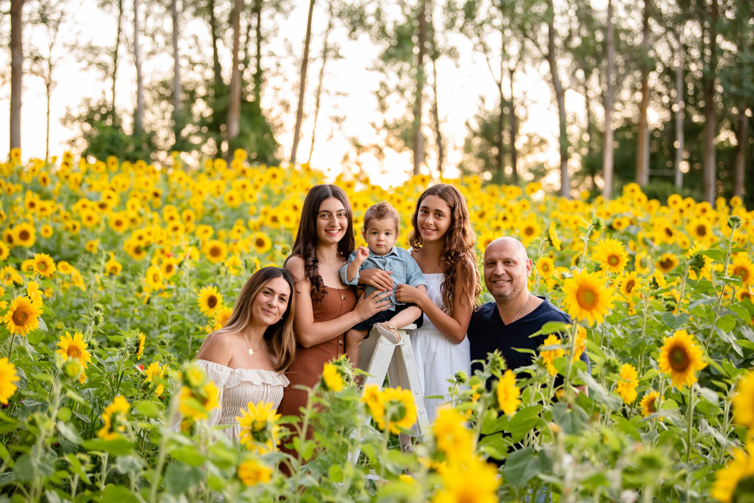 Summer Sunflower Family mini photography session Toronto, Ontario