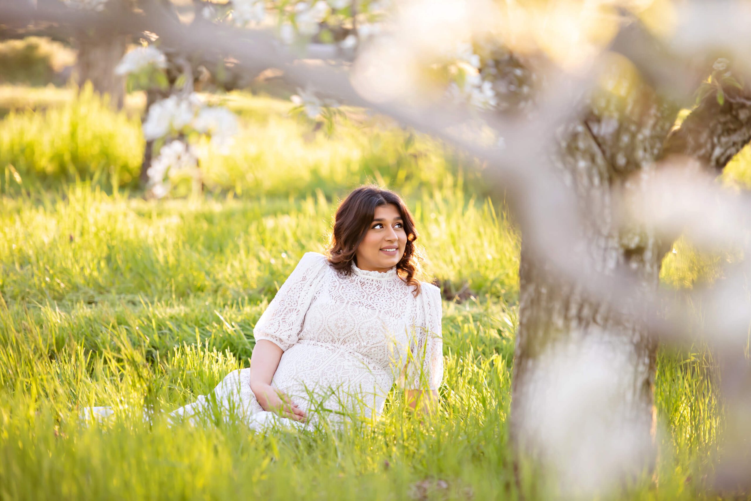 cherry blossom sunset maternity photography session