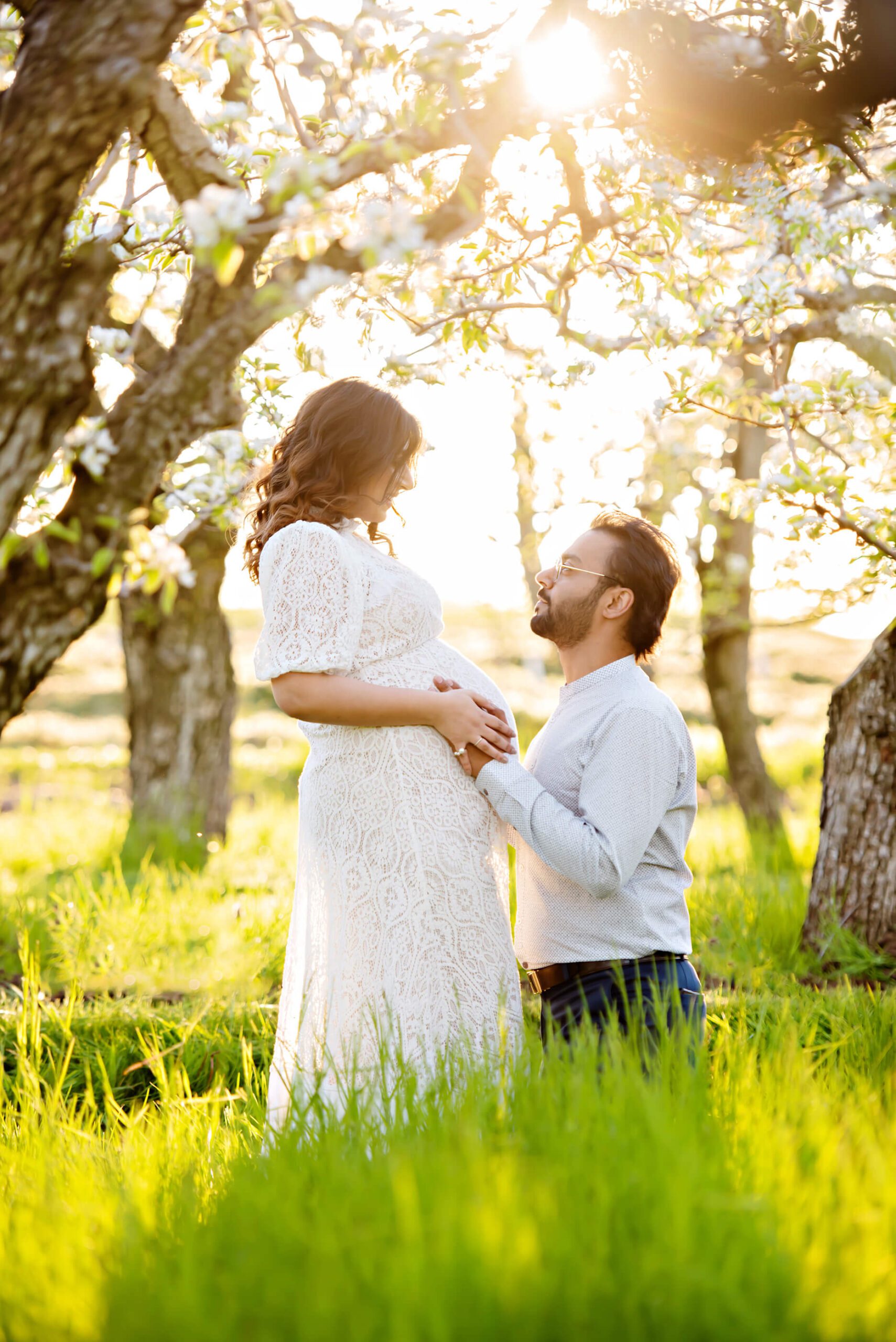 gorgeous backlight cherry blossom maternity session