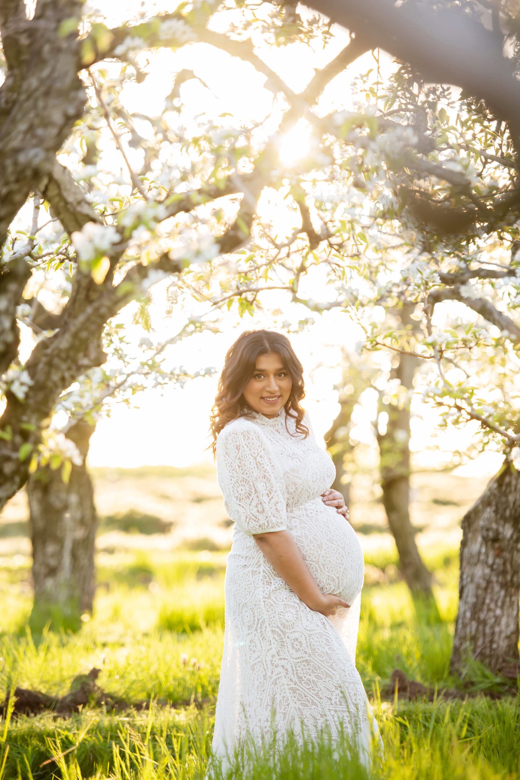 gorgeous backlight cherry blossom maternity session