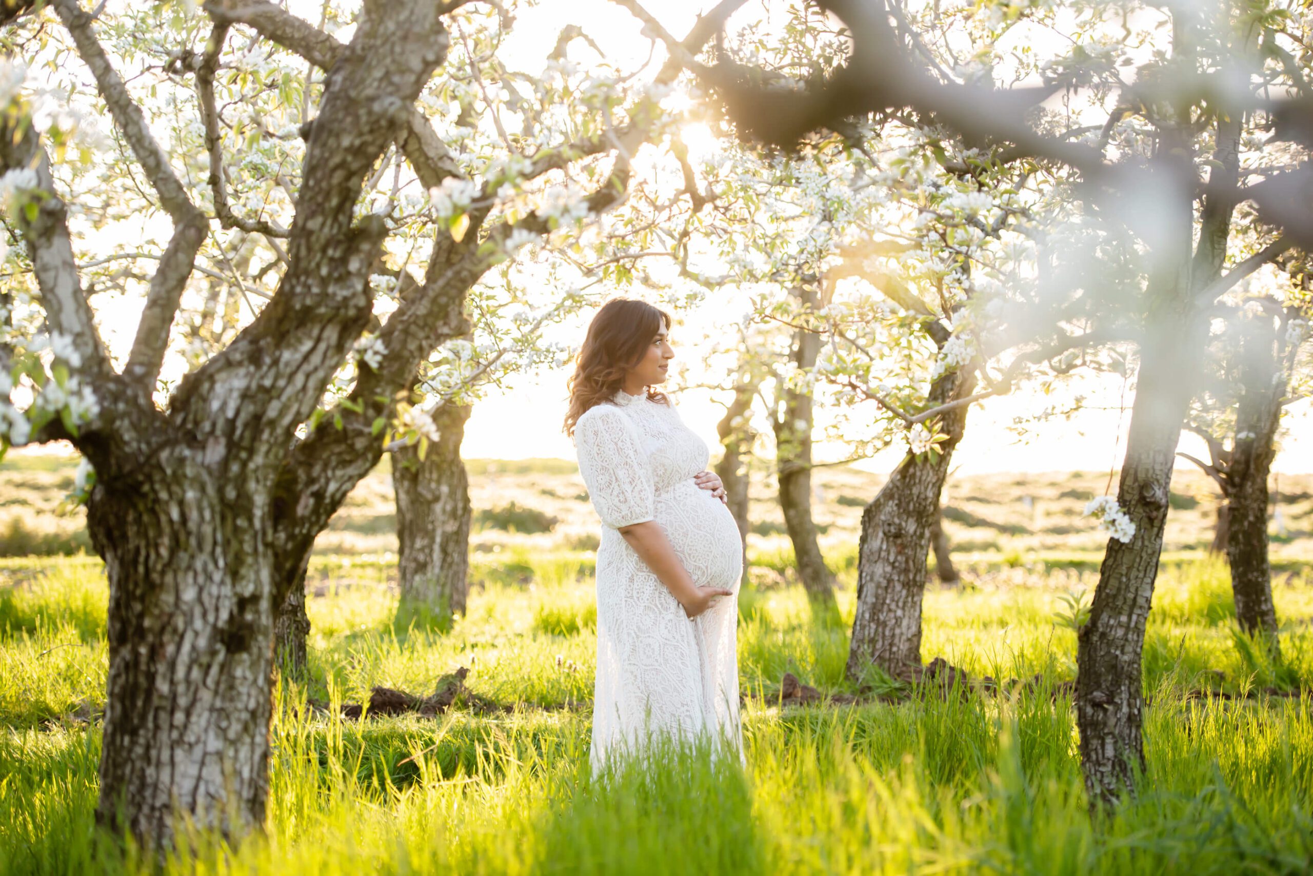 cherry blossom sunset maternity photography session