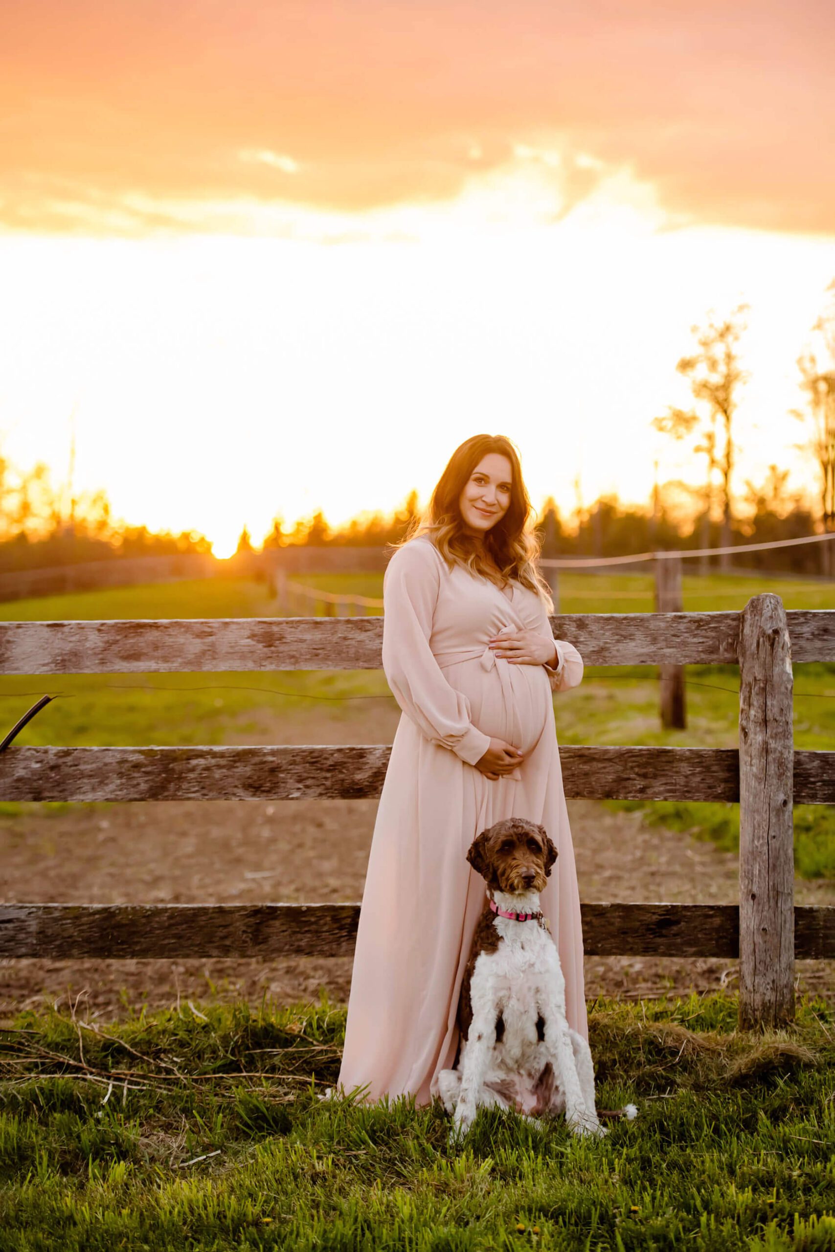 mom to be with her dog at the golden hour maternity