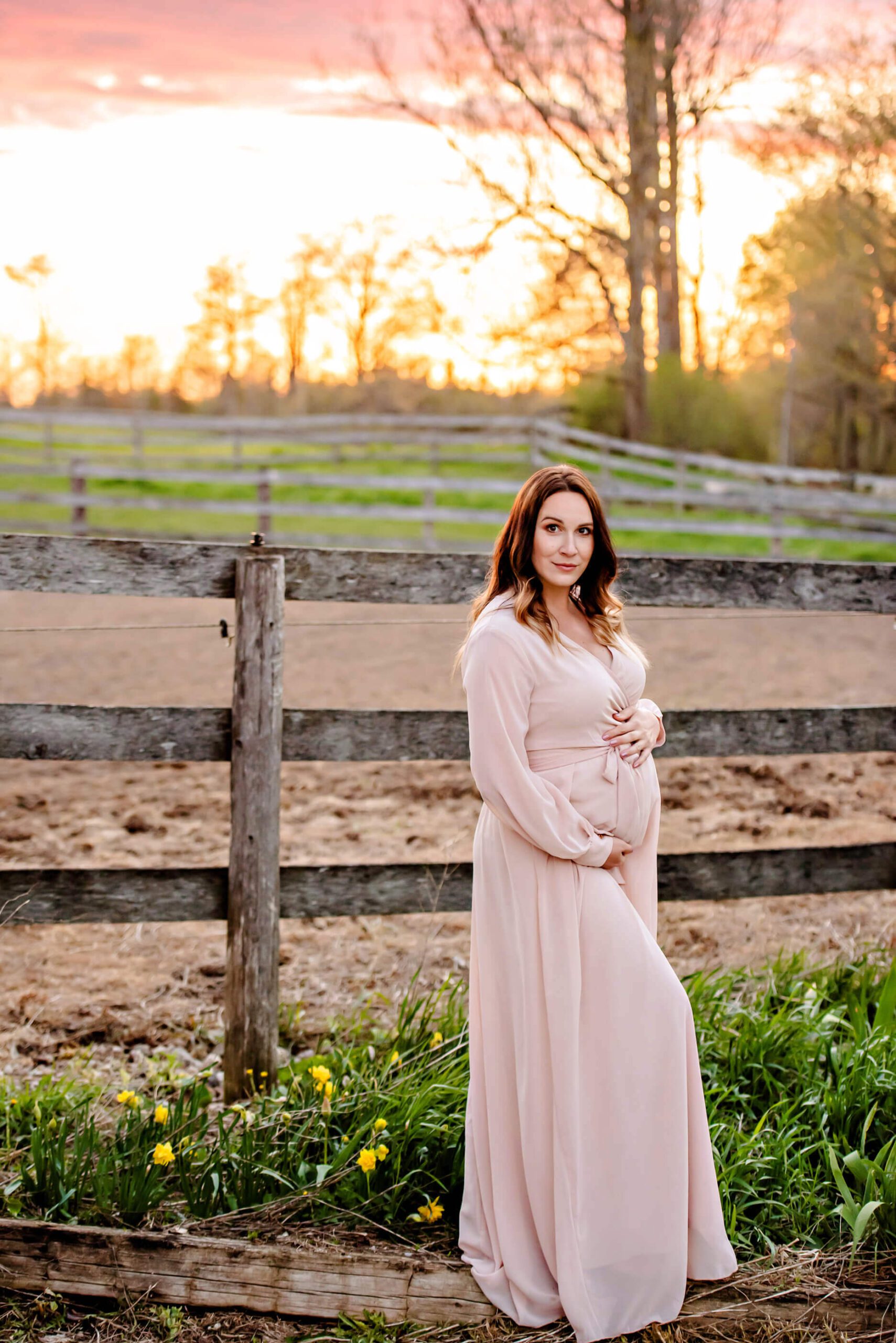 Milton maternity photo on a farm at sunset