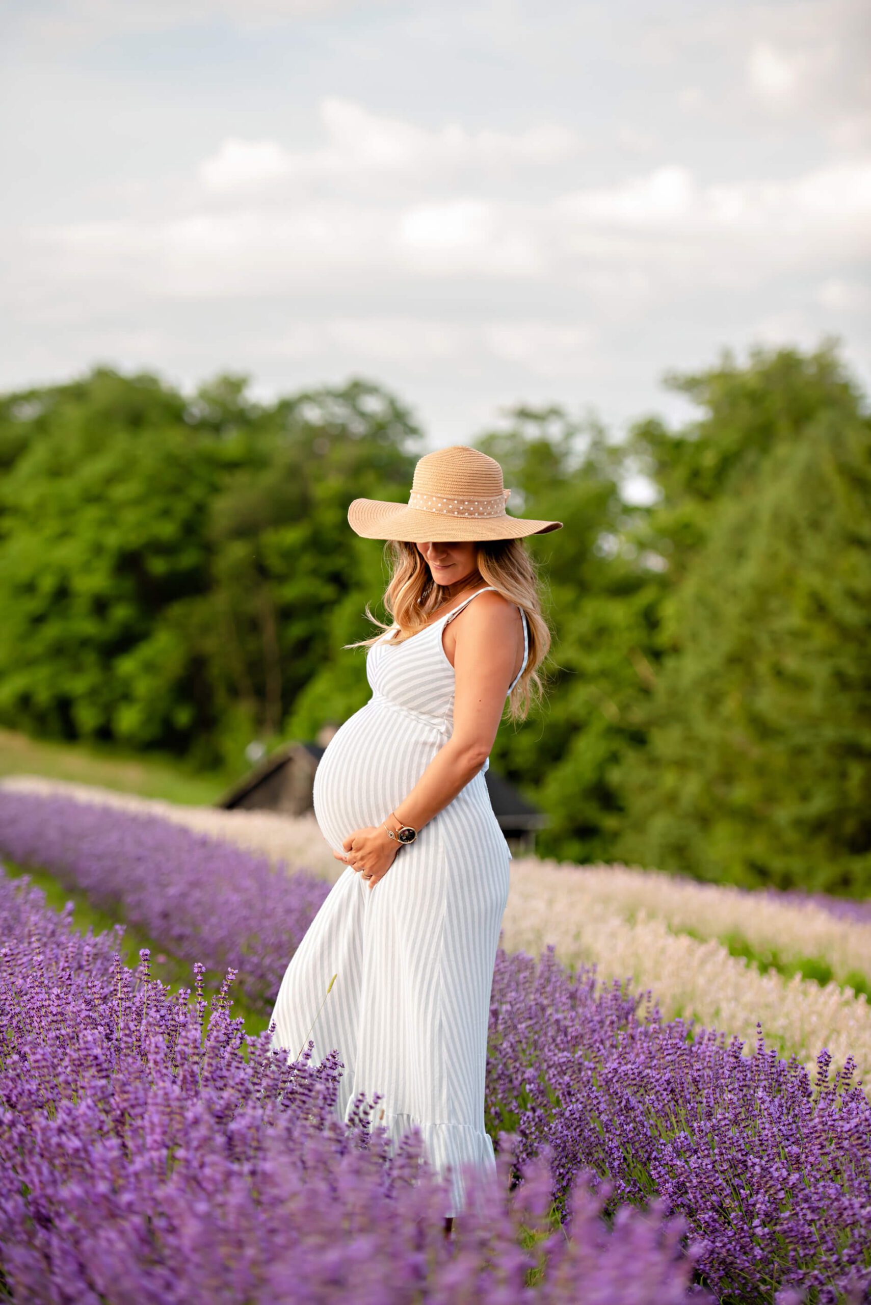 mom looking down towards her belly in the lavender field
