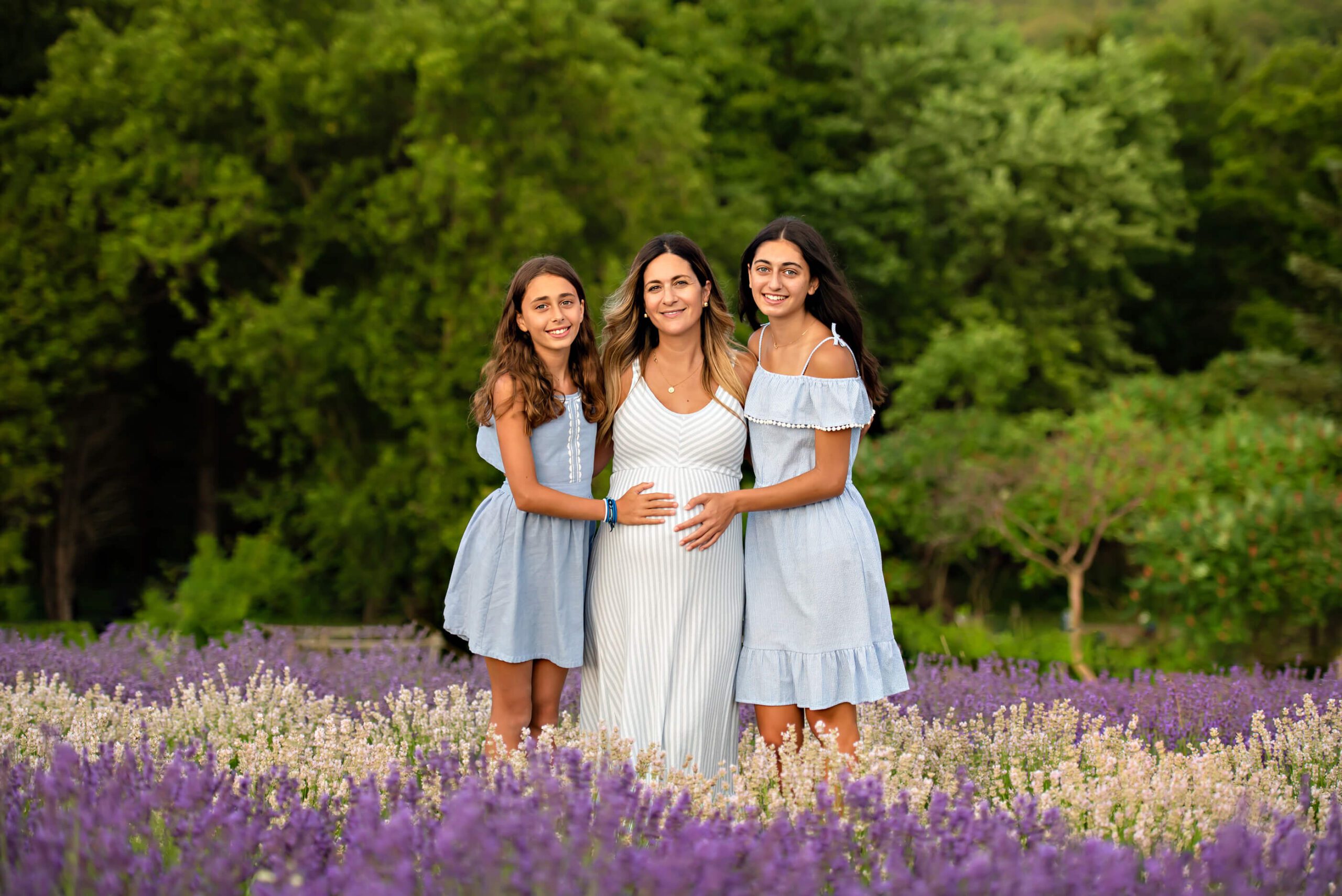 Outdoor Lavender Field Maternity Photos