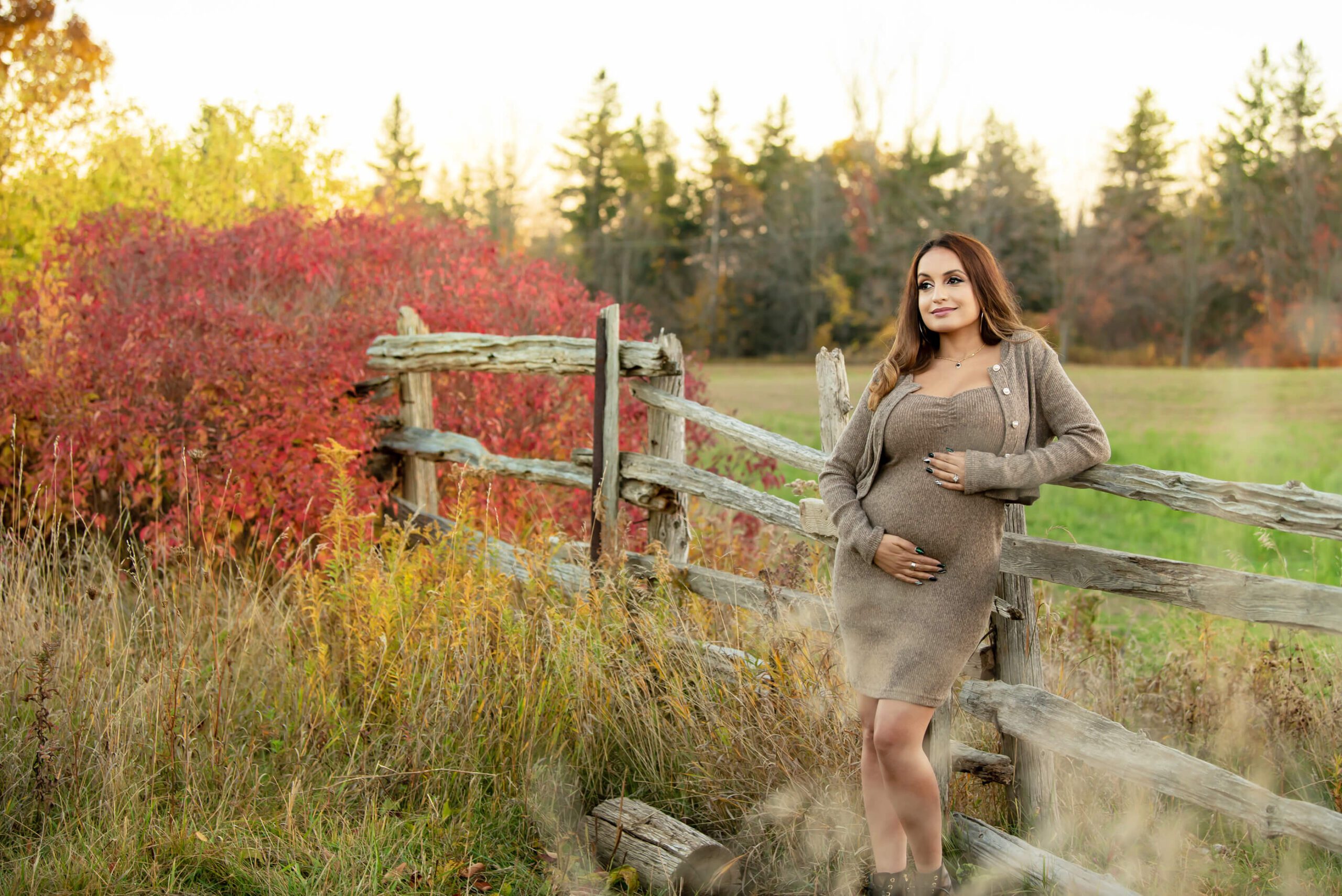 stunning fall golden hour maternity photos in Burlington, Ontario