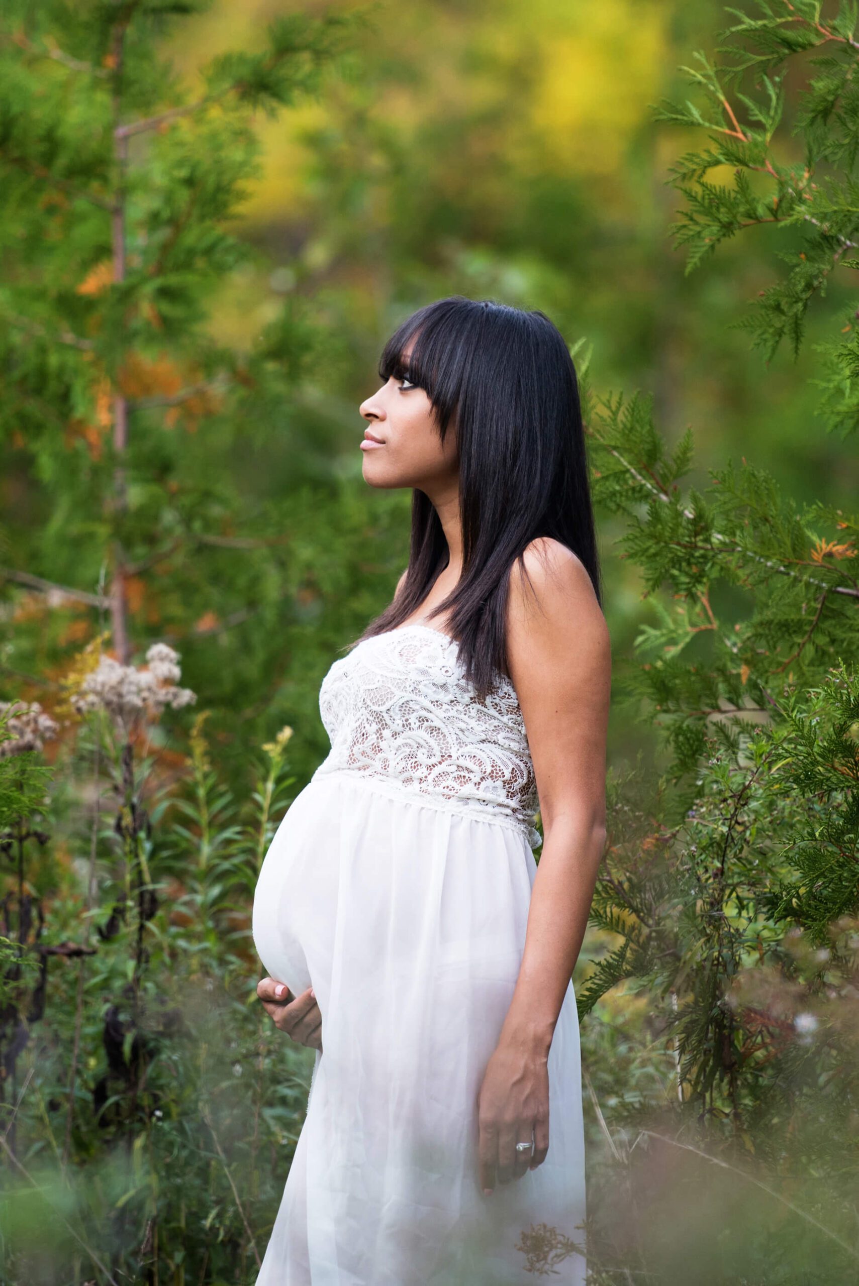 stunning outdoor evergreen forest maternity photo