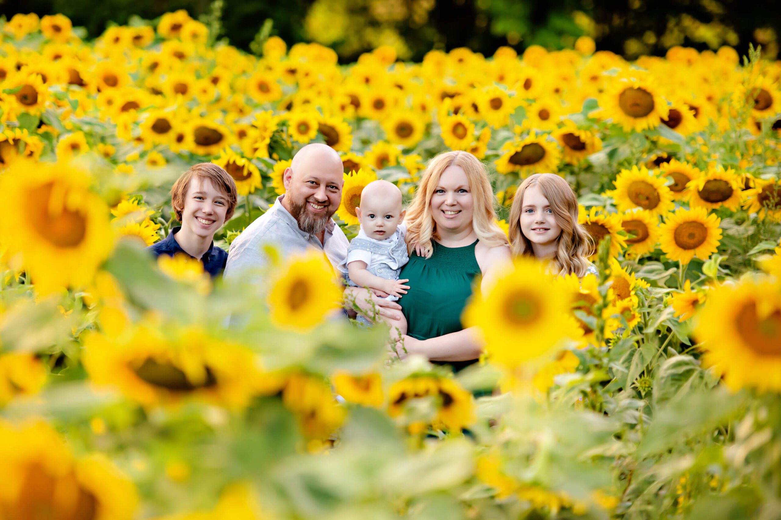 family of five in the sunflower field with things to do in Toronto this weekend with family