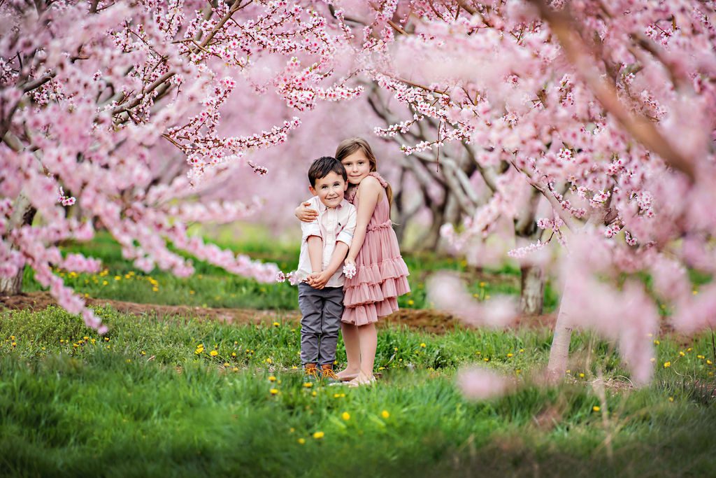 brother and sister hugging each other under cherry blossoms