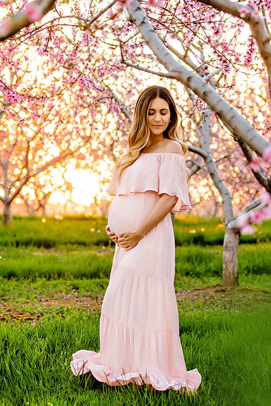 stunning mom to be in pink dress with the pink cherry blossom for her Toronto maternity photographer session