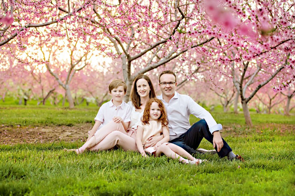 A family of four sits together in a field under pink treee blossoms toronto toy stores